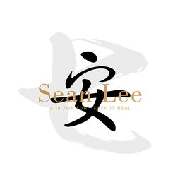  安平面字体字形seanlee7zcool