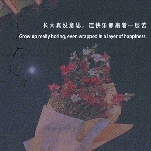  丧到极致的抑郁文案日落不是烟消云散,日出也不是涅槃