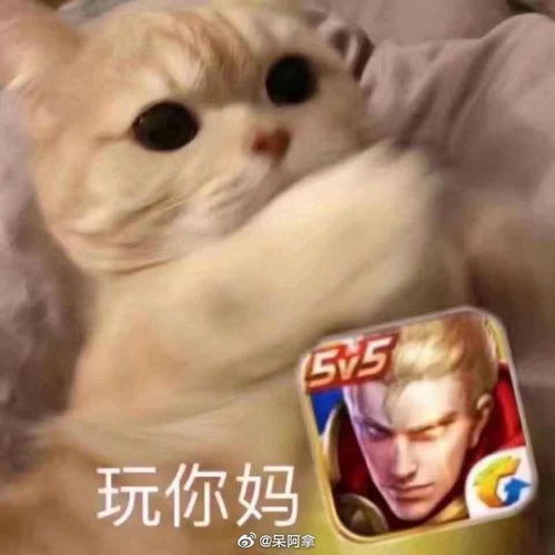 好奇一下各位王者荣耀都是怎么找到那种高质量的野王或者cp的为什么我找不到