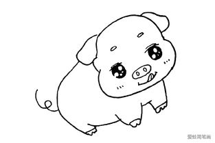  一组萌萌哒简笔画小动物
