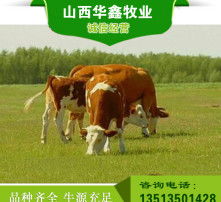  黄页88高清图片