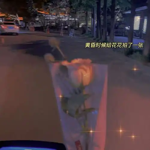  ins森系干净治愈系背景图