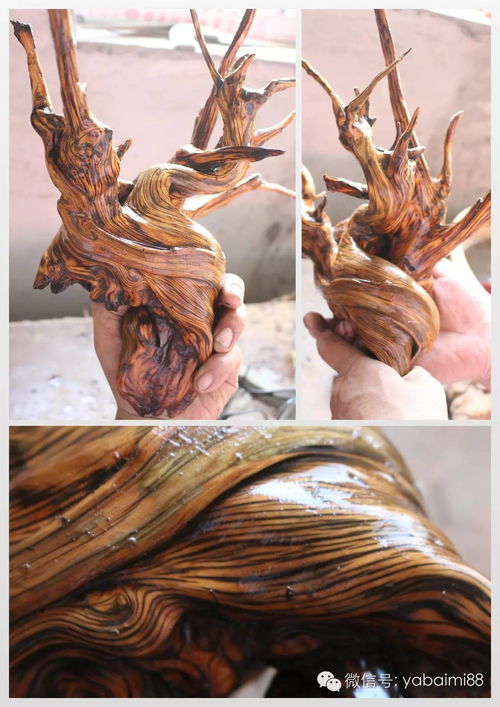  崖柏,醉美虎皮纹