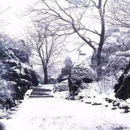 雪景头像高清美哉中国