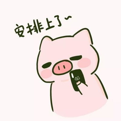 超萌可爱卡通猪头像2019最新祝大家猪事顺利猪年大吉