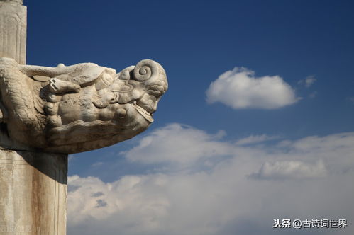  万岁何时成了皇帝的专称
