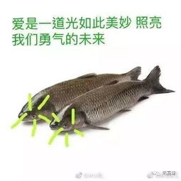  高考走了谌鹏飞来了