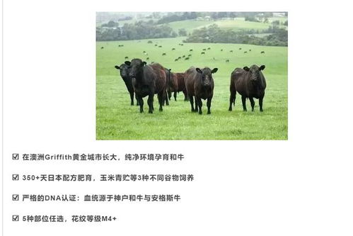  上海浦东顶级自助餐开业,澳洲进口战斧牛排助阵,网友牛气冲天