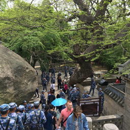  2019崂山太清宫景区门票,青岛崂山太清宫景区游玩攻略,崂山太清宫景区游览攻略路线地址门票价格