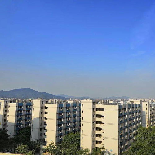  广东高校宿舍5丨华南农业大学