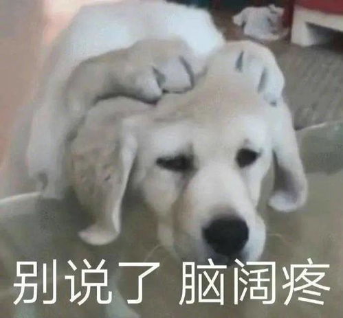  孙红雷被绿了网友那是他在进行光合作用哈哈哈哈哈
