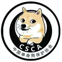  120天后,平板软又发新照啦