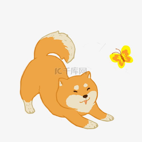  可爱小动物狗狗柴犬与蝴蝶玩耍免抠素材图片免费下载千库网