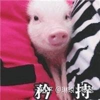  和女友的甜蜜回忆