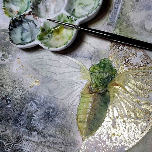  文艺小清新的插画欣赏