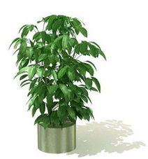  家居风水利用风水走出贫民窟做起富翁