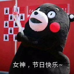  这个叫什么名字