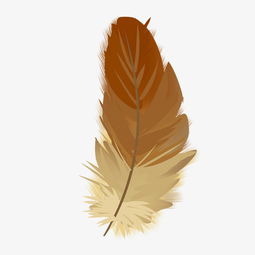 头像素描照片素材羽毛