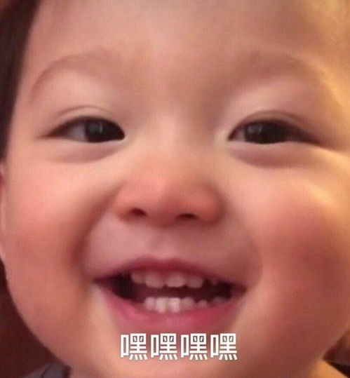  在女友手机发现了这个群聊天不忍直视