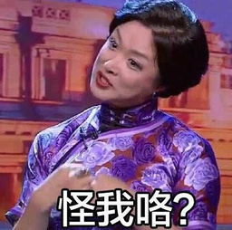  金星加盟非诚勿扰金星脱口秀魔性表情揭变性前后对比照图