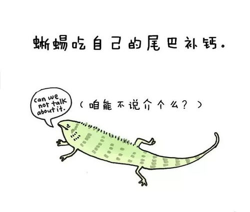 冷知识动物界里的新鲜事