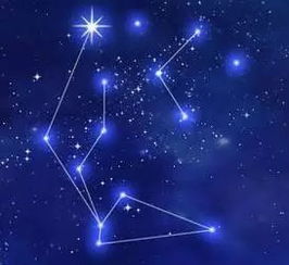  财会人星座调查,这三个星座人数竟然超过50