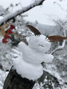  在西湖遇见最美的雪西湖看雪的小众路线