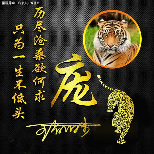  2021换张微信头像,霸气猛兽姓氏签名壁纸,18张任你挑选