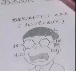  小学生的书包气哭爸妈你永远不知道里面藏的啥,哈哈哈哈哈哈