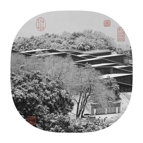  90岁的美院,一夜白头美不哭你算我输