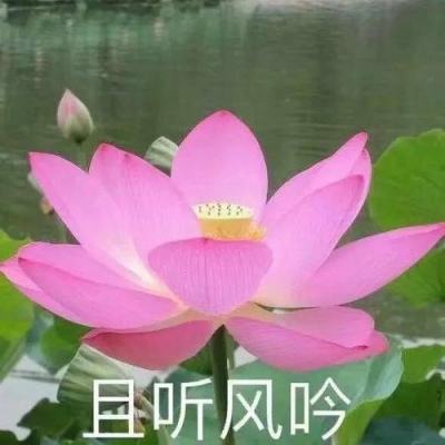  bwin体育下载首页