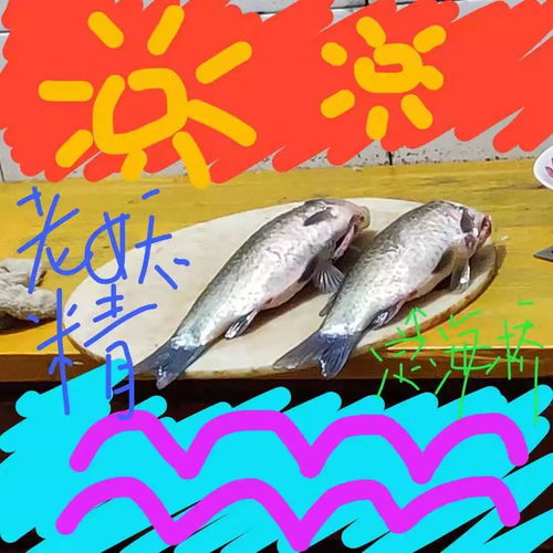  定海桥互助社新年贺电