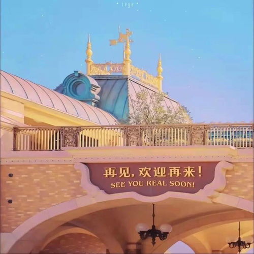  不管几岁,少女心万岁