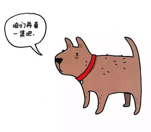  这些动物的冷知识,你和孩子知道吗一起来涨涨知识