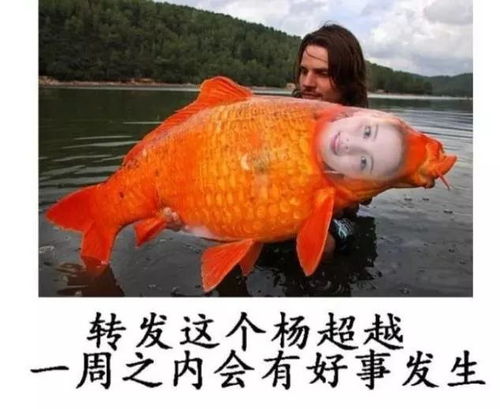  凭什么说,这四位才是电影圈里的真锦鲤