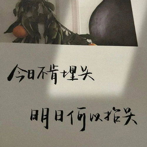  文案背景丨凭本事单身种子选手