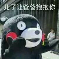  有趣的熊本熊表情包带字单身狗日常表情包
