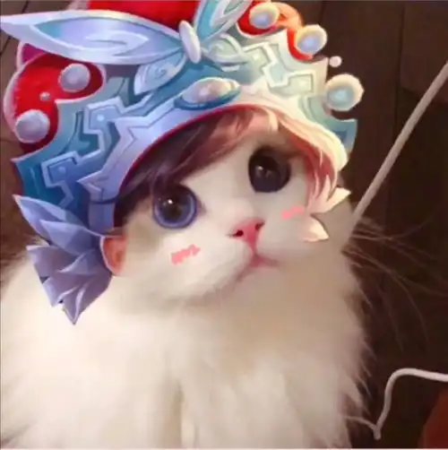 哔哩哔哩专栏 哔哩哔哩专栏