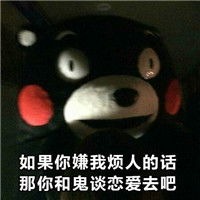  熊本熊我竟无力反驳的图片带字表情包如果你嫌我