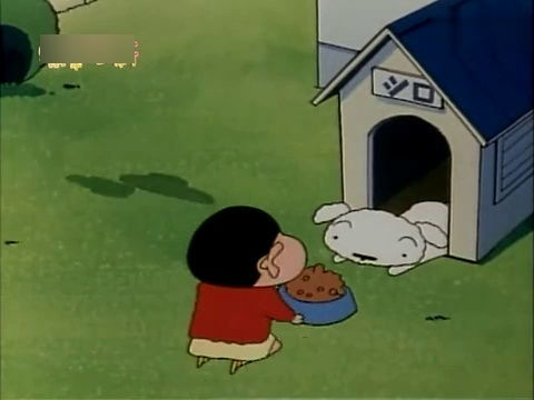  蜡笔小新小白就是一条宠物狗,没有办法好好看家