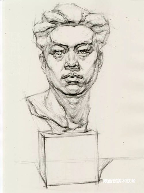  素描石膏像完整解析内附临摹稿石膏照片