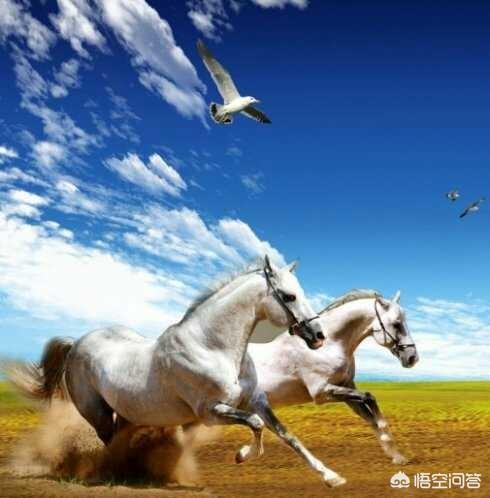  微信被黑客黑了怎么办zol问答