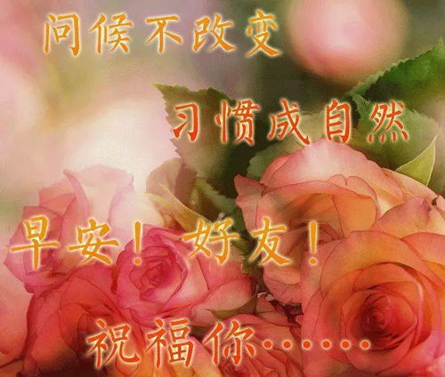  2020微信早上好问候表情图片励志语录正能量早上好祝福句子