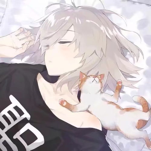  无标题