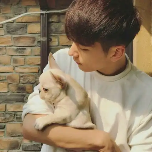  微信头像换得好,撩妹成功率飙升