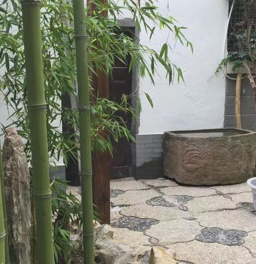 又顺又聚财的头像风水庭