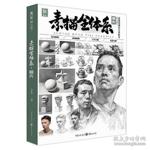  素描全体系照片素描基础综合对临本2020敲门砖李家友几何石膏头像