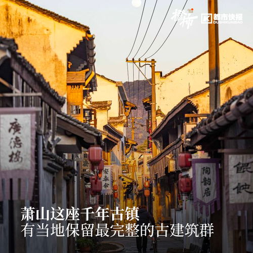  无标题