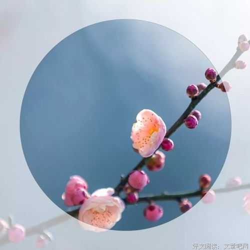  心态决定命运,心态决定一切