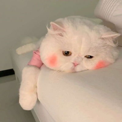  一对两张情侣头像
